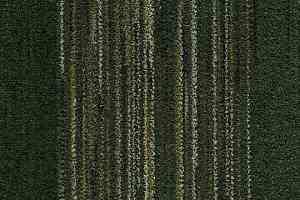 Ковровая плитка Coral Interior 1518 Rain Forest фото  | FLOORDEALER